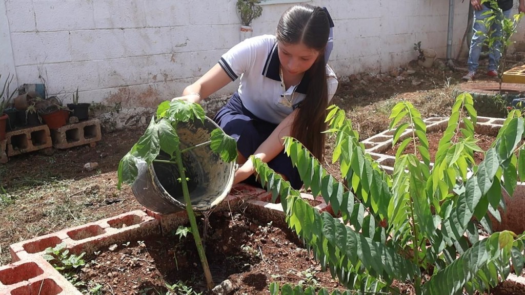 Se suman escuelas de Yucatán al programa Escuela Sustentable Se suman escuelas de Yucatán al programa Escuela Sustentable