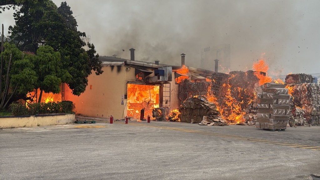 Se incendia planta de cartón de empresa avícola en periférico