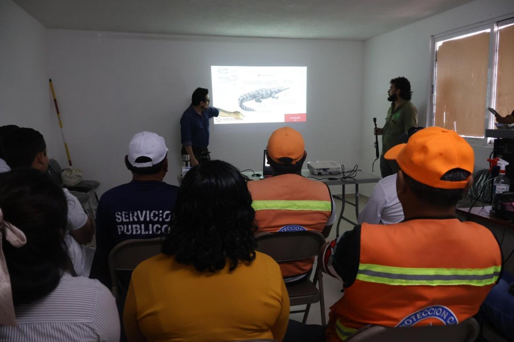 SDS imparte taller especializado en manejo de cocodrilos SDS imparte taller especializado en manejo de cocodrilos