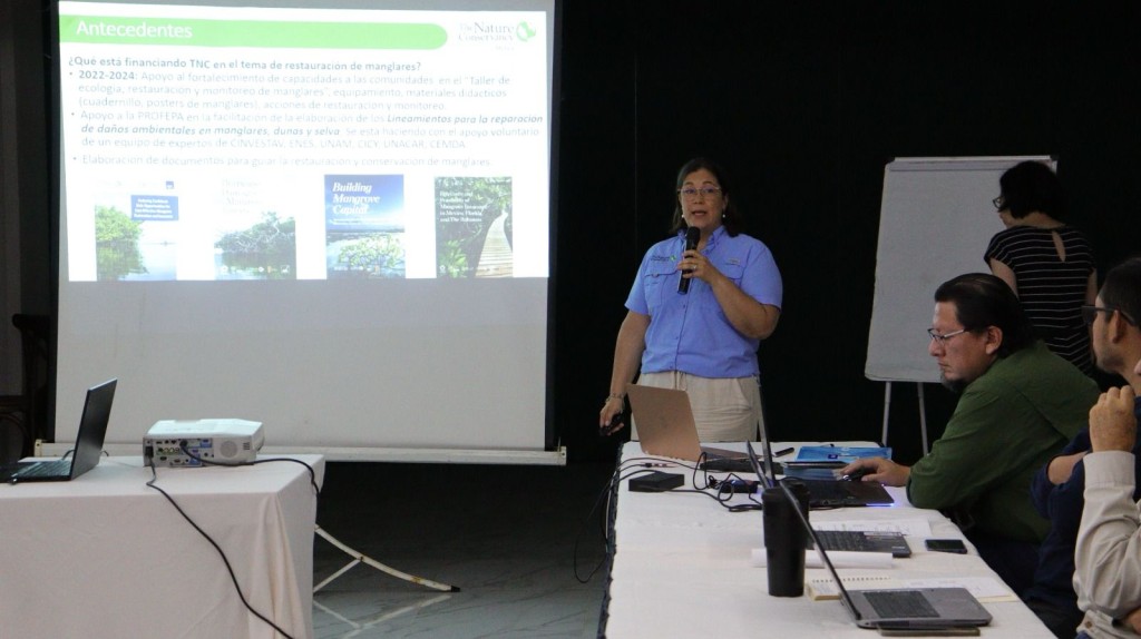 Celebran en Yucatán el Foro Manglar 2025 para Fortalecer la Conservación Costera Celebran en Yucatán el Foro Manglar 2025 para Fortalecer la Conservación Costera