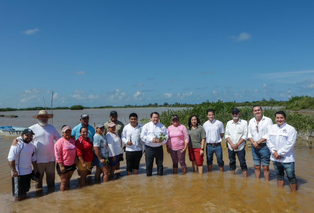 Lanza Yucatán estrategia integral para restauración de humedales costeros