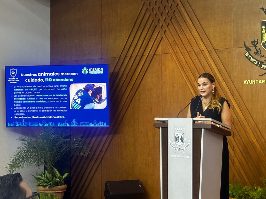 Aplican multa histórica superior a $90 mil por abandono de perros en Mérida