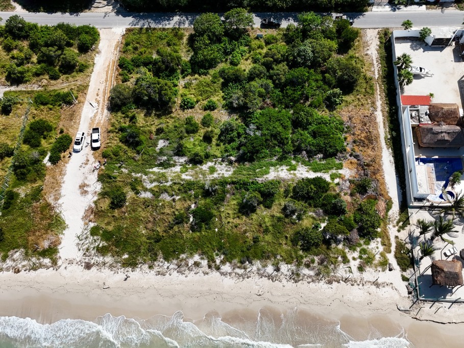 Profepa clausura proyectos inmobiliarios en Chicxulub, Progreso y San Crisanto