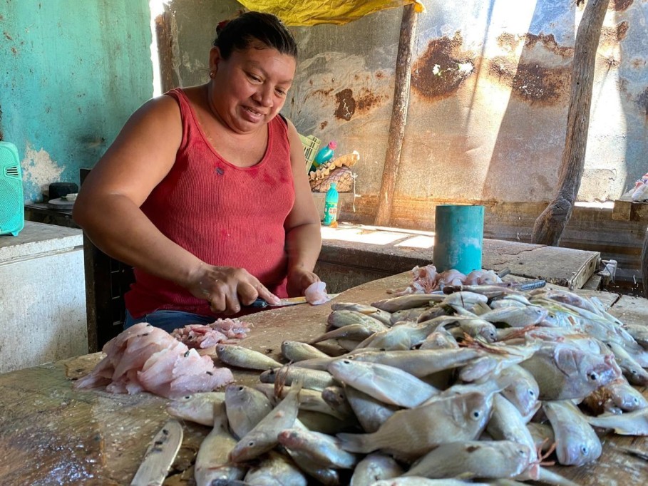 En el próximo Programa de Apoyo a la Veda del Mero, serán consideradas las “fileteras”