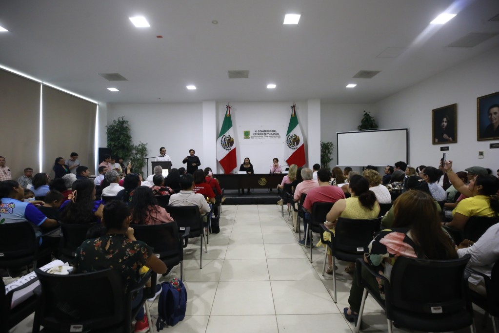 Yucatán podría aprobar la Ley de Autismo antes del 15 de diciembre