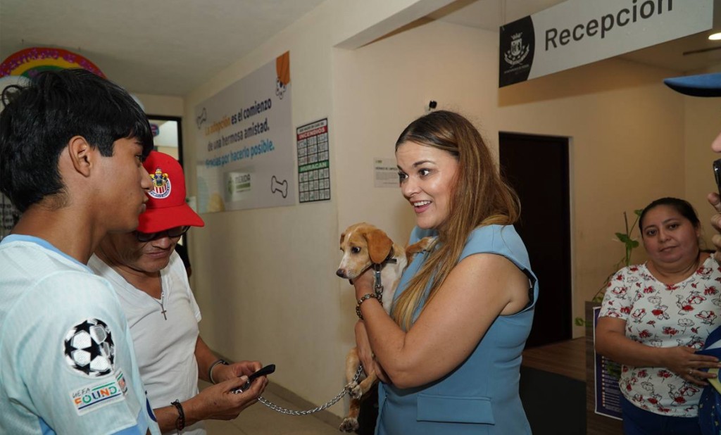 Esterilizó el Ayuntamiento de Mérida a 187 perritos callejeros