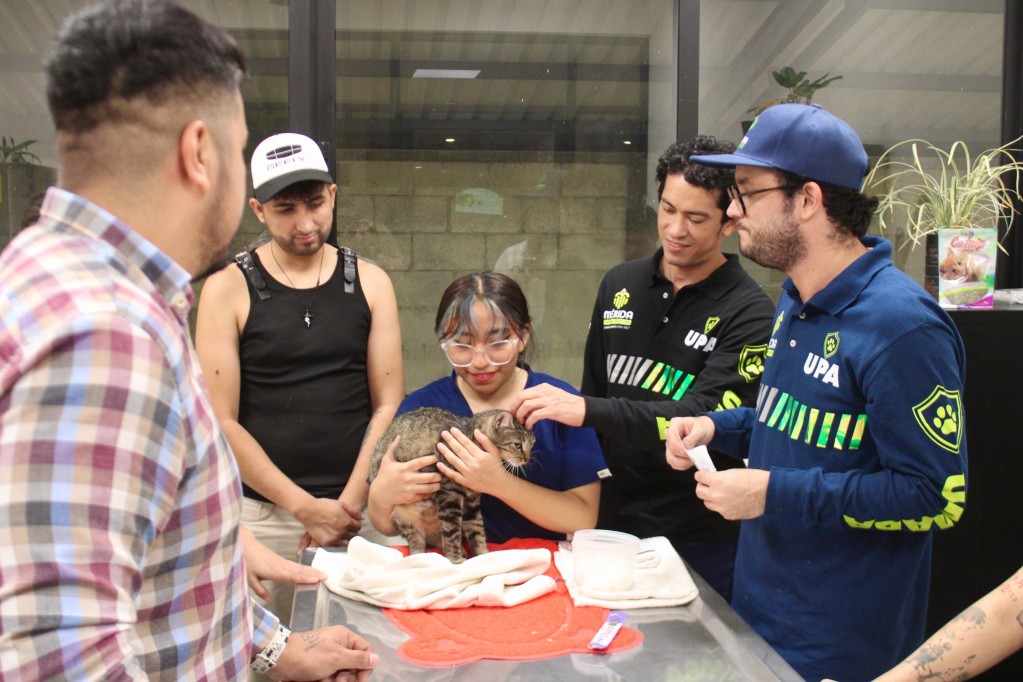 Se posiciona Mérida como la primera ciudad mexicana positiva para los animales