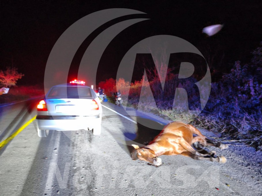 Dos accidentes cerca de Calotmul