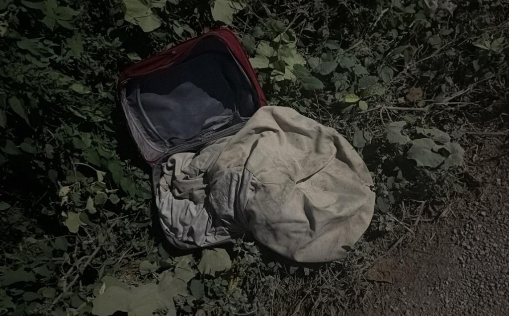 Siguen envenenando perros en Tizimín, nadie denuncia