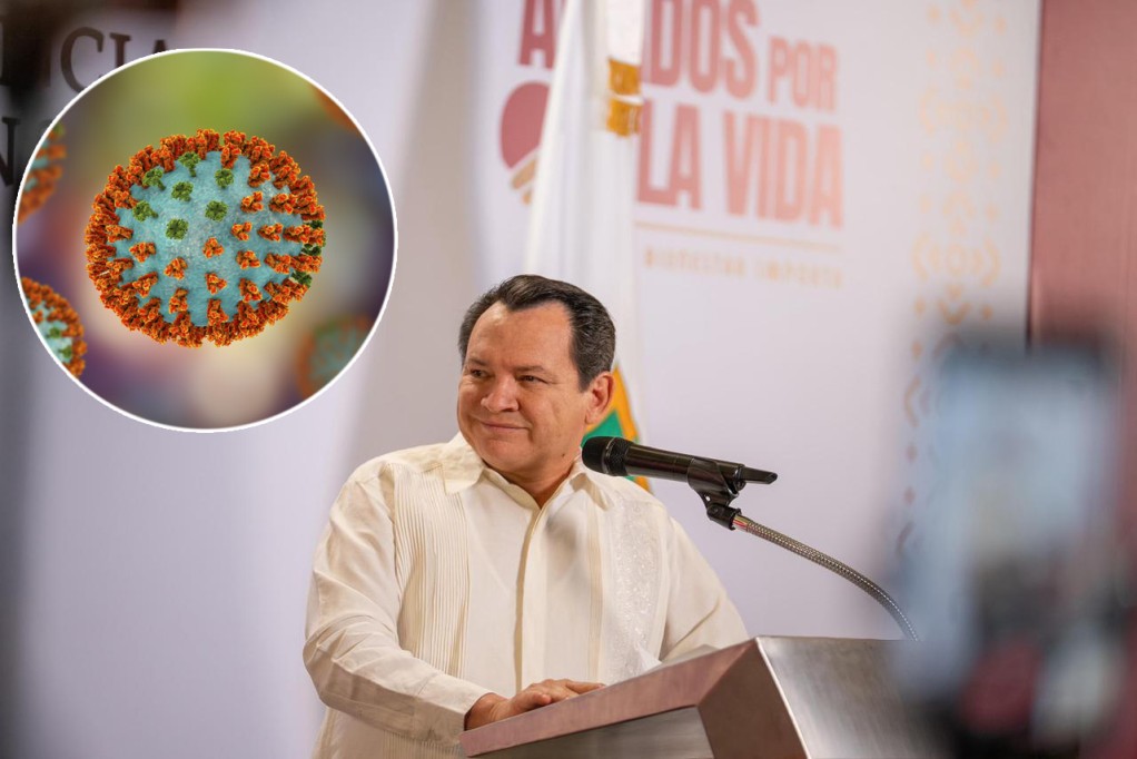 No hay alarma por la nueva cepa de influenza H3N2