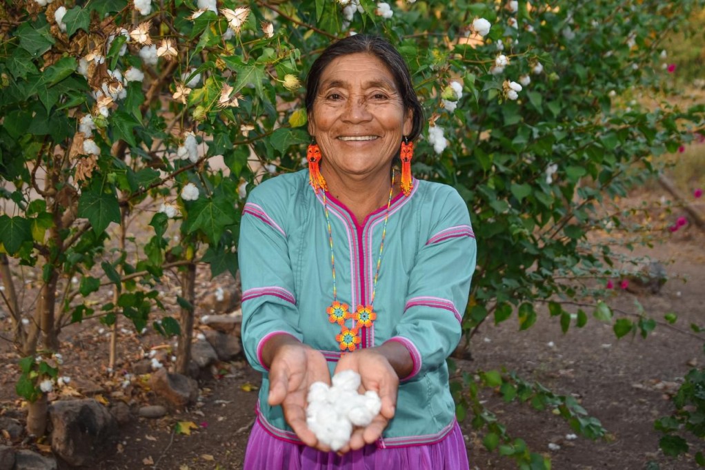 Ya reciben más de 3 millones de mexicanas la Pensión Mujeres Bienestar: Ariadna Montiel