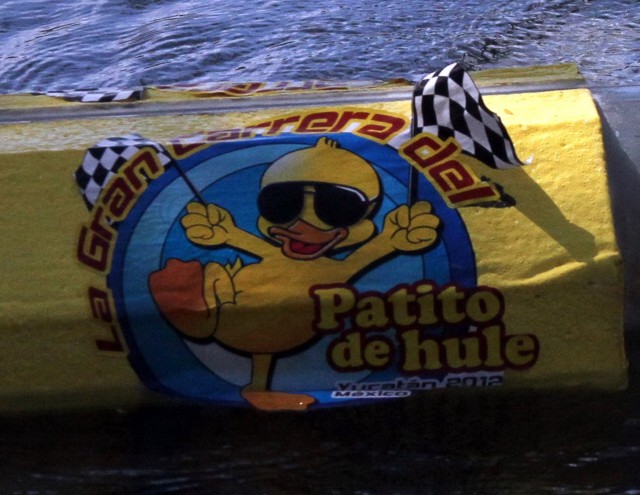 Alegría en Progreso por el protagonista de la carrera del Patito de Hule Alegría en Progreso por el protagonista de la carrera del Patito de Hule