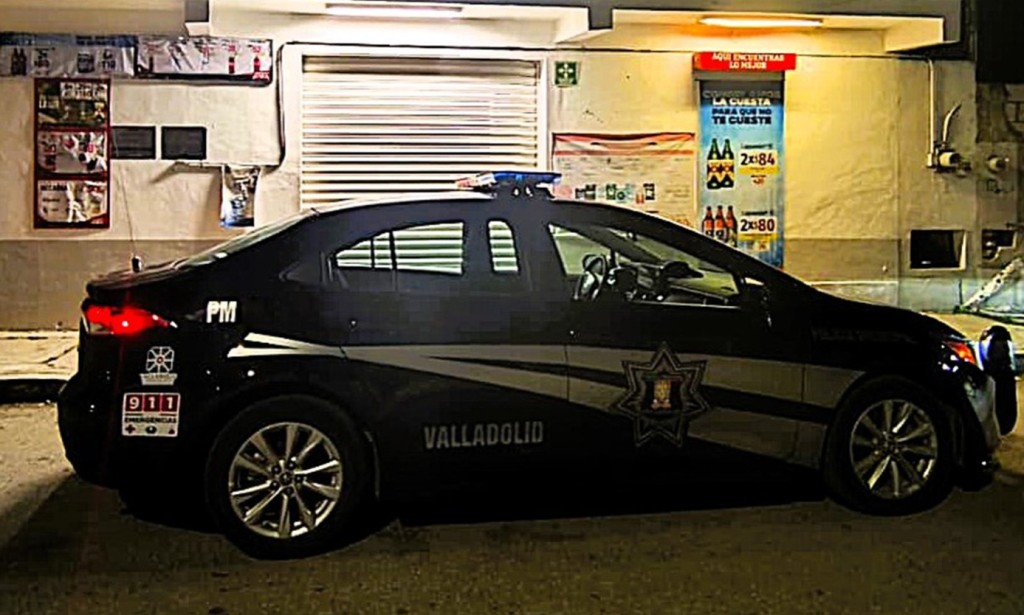 Casi 3 años de prisión por robo y agredir a un policía de Valladolid