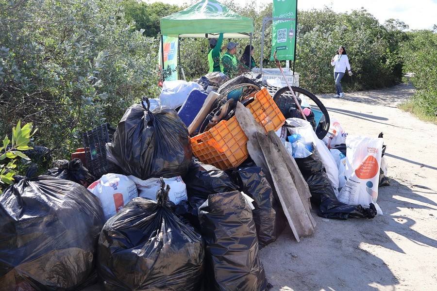 Recolectan casi una tonelada de residuos en jornada de limpieza en manglares de Chuburná