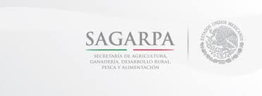 Sagarpa respalda apoyos para los yucatecos Sagarpa respalda apoyos para los yucatecos