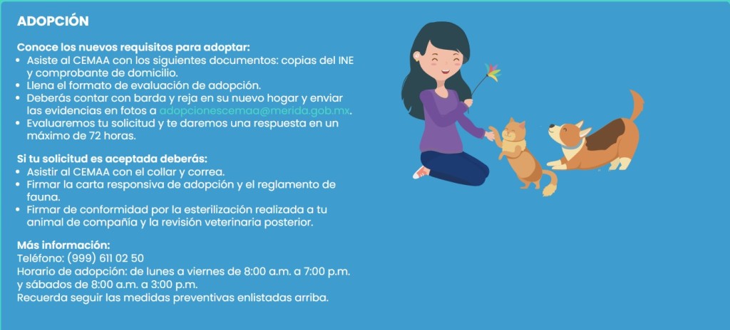 Adopciones en el Cemaa ahora incluyen entrenamiento gratuito para mascotas