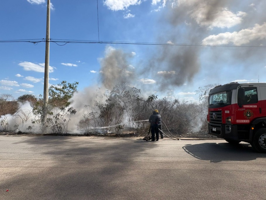 Controlan oportunamente incendio de basurero clandestino en la Reserva Cuxtal