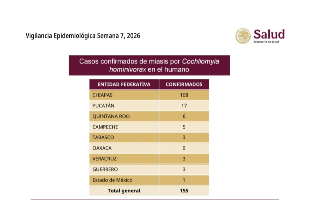 Ocupa Yucatán segundo lugar nacional en casos de gusano barrenador en humanos