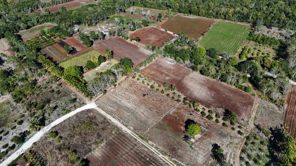 Supervisan en Tizimín trabajos de mecanización de tierras