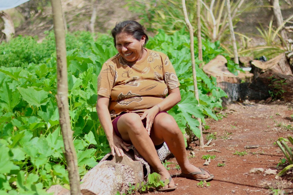 Siembran esperanza y cosechan bienestar para sus familias y el campo yucateco