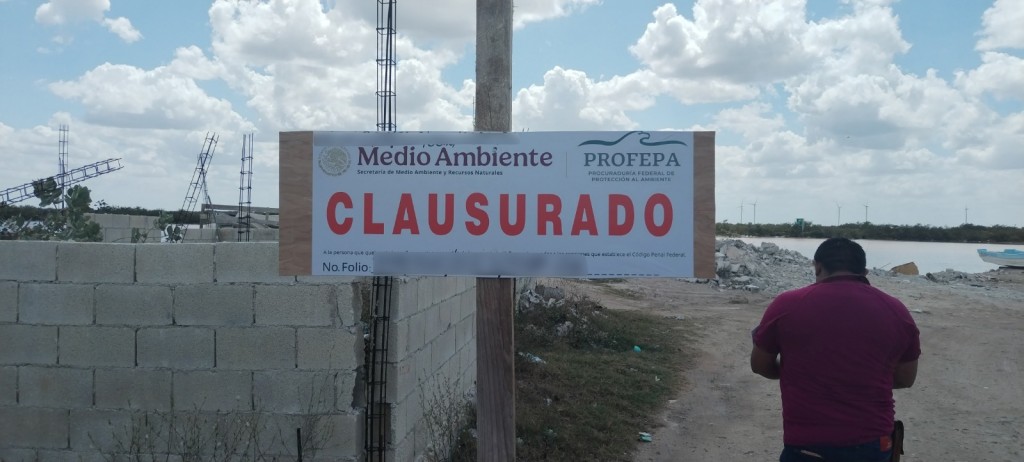 Clausura Profepa dos obras por relleno de humedal y desmonte de manglar, en Chicxulub Puerto, Yucatán