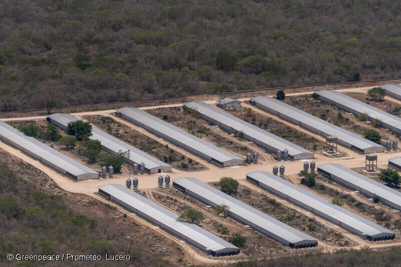 El gobierno estatal tuvo contacto con relator de la ONU