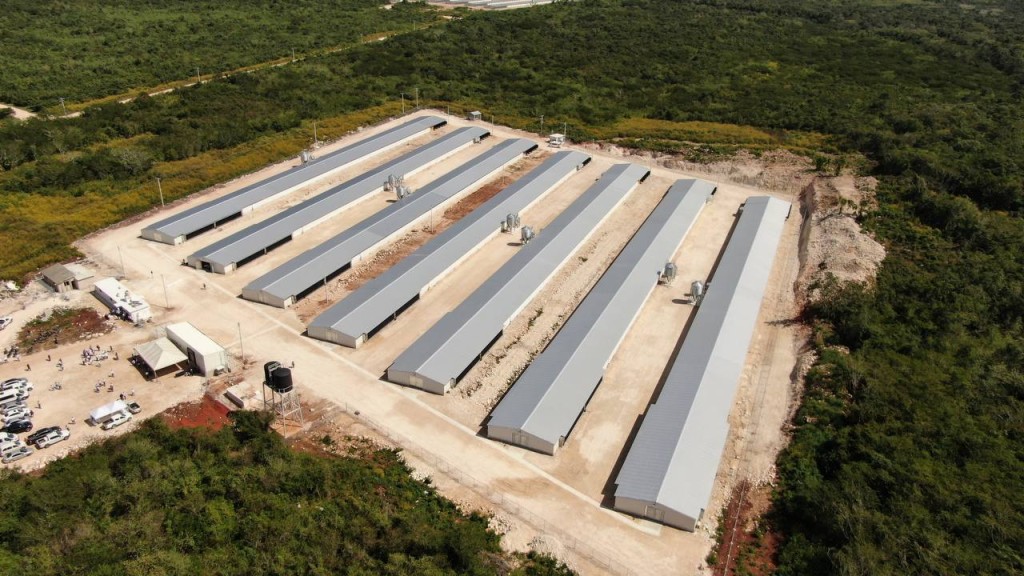 Realizarán feria de empleo para personas con discapacidad, en Bachoco