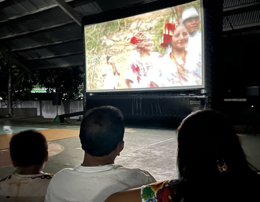 Proyectarán documental sobre flamencos en Mérida, Celestún y Sisal