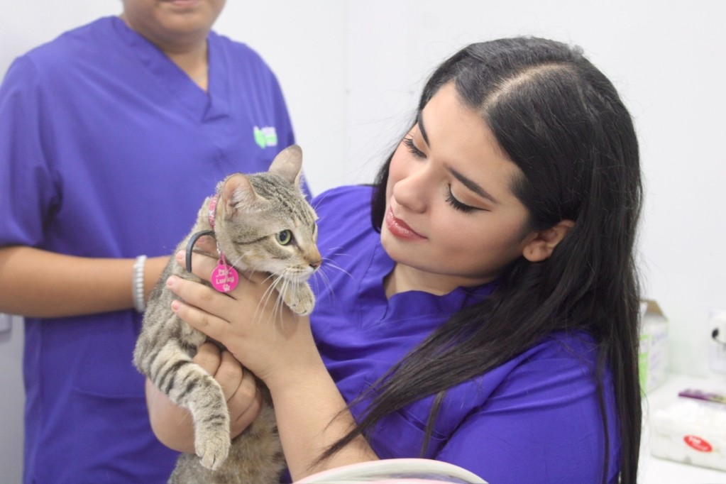 Establece Clínica Veterinaria Municipal jornadas permanentes de esterilización a bajo costo