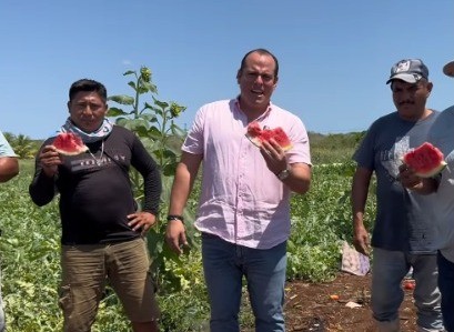 Se han mecanizado más de 800 hectáreas en territorio tizimileño