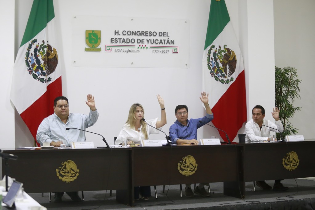 Aprueba comisión del Congreso convocatorias para designar titulares de órganos de vigilancia y control