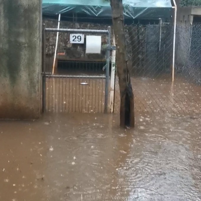 Reporta refugio “Evolución Animal” grandes afectaciones por las lluvias