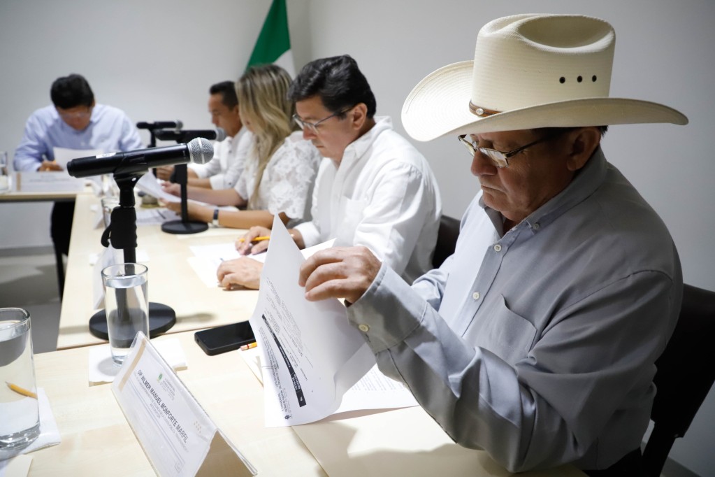 Intensa actividad legislativa en comisiones permanentes