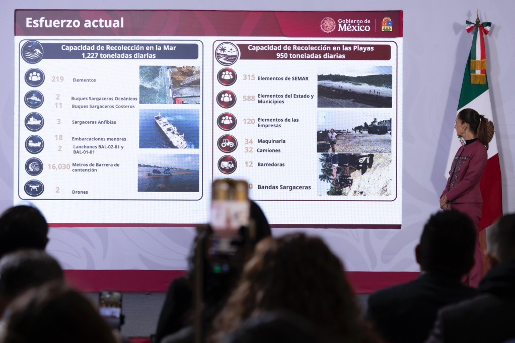 Destina Gobierno de México 2 mil mdp a la estrategia de atención y manejo del sargazo, en Quintana Roo