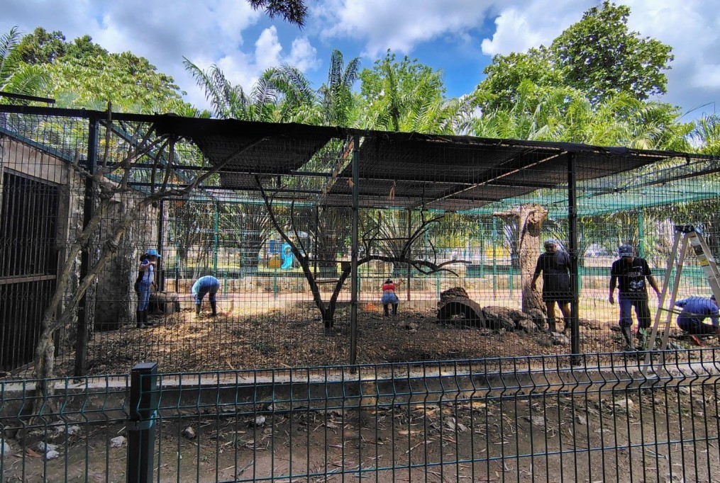 Mejoran instalaciones del zoológico de Tizimín para fortalecer el bienestar animal