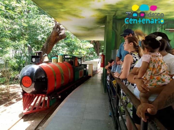 Se reanudaría en febrero del 2027 el servicio del trenecito en el Centenario