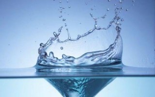 Celebran el Dia Mundial del Agua en Yucatán Celebran el Dia Mundial del Agua en Yucatán