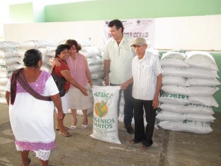TIZIMÍN: Alivio para los apicultores.\r\n TIZIMÍN: Alivio para los apicultores.\r\n