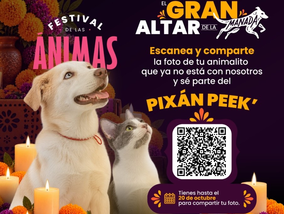 Pixán Peek del Ayuntamiento de Mérida, oportunidad para recordar a perros y gatos que dejaron huella.