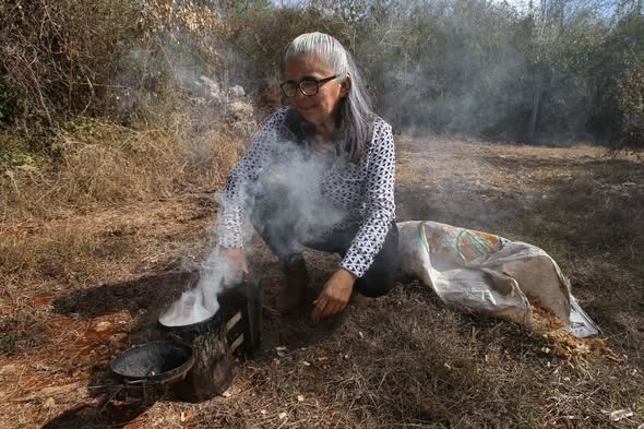 Buscan abejas resguardo y alimento en la mancha urbana por falta de vegetación