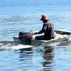 12 mil pescadores beneficiados con el programa temporal ante la veda del mero 12 mil pescadores beneficiados con el programa temporal ante la veda del mero