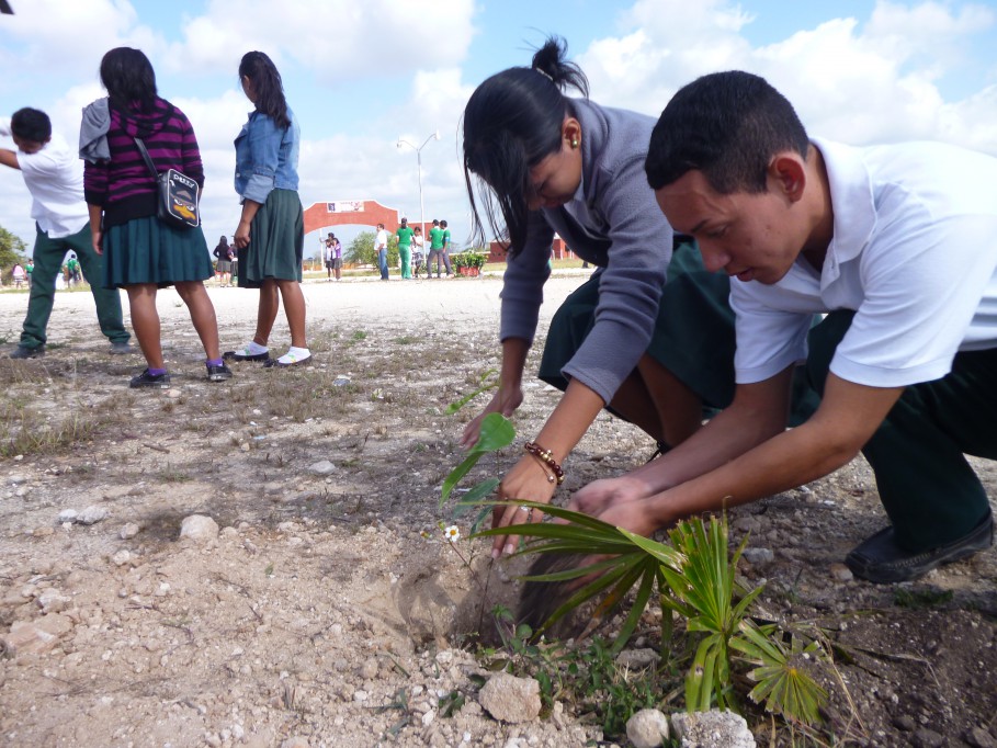 TIZIMÍN: Reforestan el recinto ferial con 2000 árboles.\r\n TIZIMÍN: Reforestan el recinto ferial con 2000 árboles.\r\n