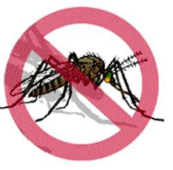 Disminuye incidencia del dengue en un 85% en Yucatán Disminuye incidencia del dengue en un 85% en Yucatán