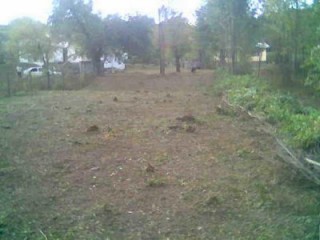 Terreno baldío en el Roble Agrícola III convertido en tiradero de basura Terreno baldío en el Roble Agrícola III convertido en tiradero de basura