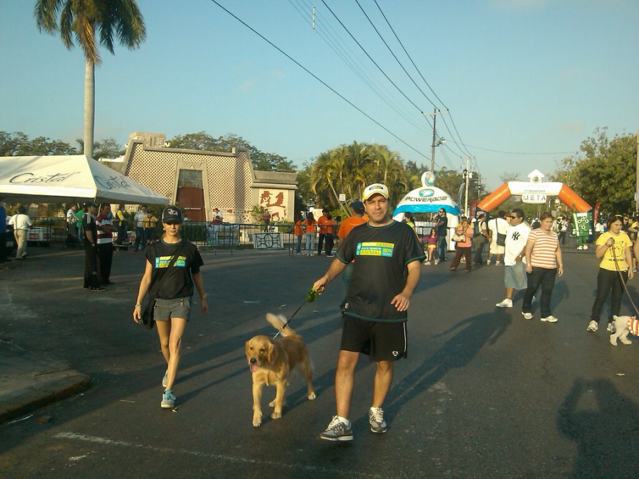 El diputado Mauricio Vila Dosal participa en caminata a favor de los animales El diputado Mauricio Vila Dosal participa en caminata a favor de los animales