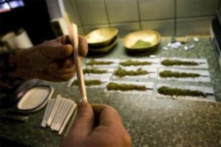 Más hombres que mujeres caen en problemas de drogadicción. Más hombres que mujeres caen en problemas de drogadicción.