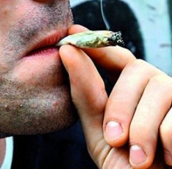 Rompen el mito de que la marihuana no es nociva para la salud Rompen el mito de que la marihuana no es nociva para la salud