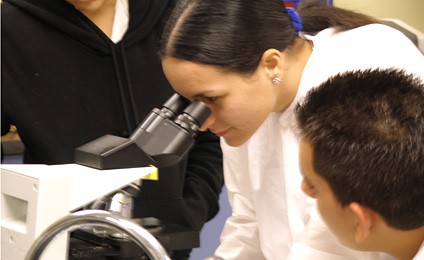 Primer curso en Yucatán para detectar mircroorganismos útiles en biotecnología. Primer curso en Yucatán para detectar mircroorganismos útiles en biotecnología.