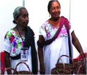 Las mujeres mayas, esperanza contra la piratería de la guayabera yucateca Las mujeres mayas, esperanza contra la piratería de la guayabera yucateca
