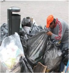 Pepenadores improvisados quitan la chamba a pepenadores de oficio Pepenadores improvisados quitan la chamba a pepenadores de oficio